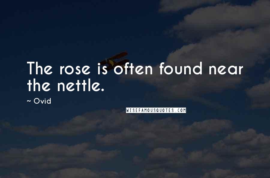 Ovid Quotes: The rose is often found near the nettle.