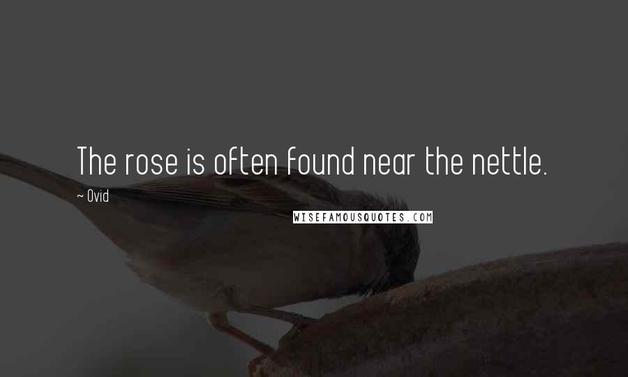 Ovid Quotes: The rose is often found near the nettle.