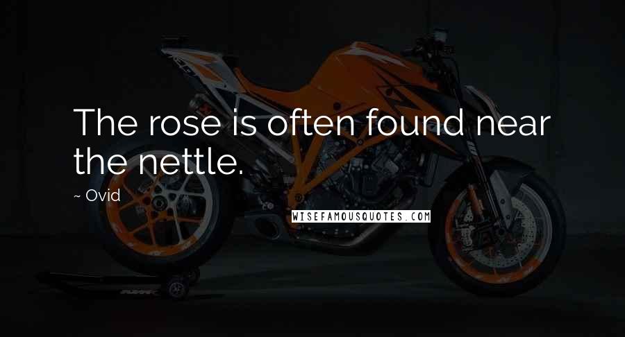 Ovid Quotes: The rose is often found near the nettle.