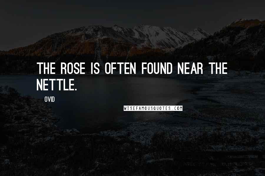 Ovid Quotes: The rose is often found near the nettle.