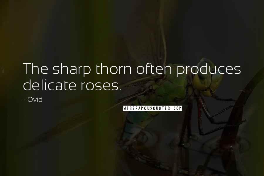 Ovid Quotes: The sharp thorn often produces delicate roses.