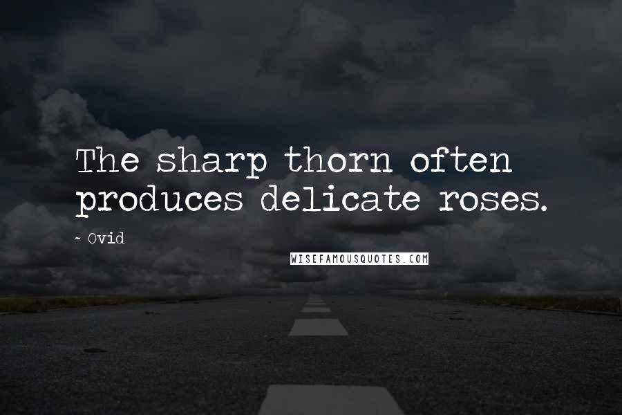 Ovid Quotes: The sharp thorn often produces delicate roses.
