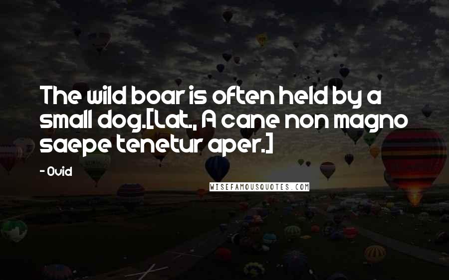 Ovid Quotes: The wild boar is often held by a small dog.[Lat., A cane non magno saepe tenetur aper.]