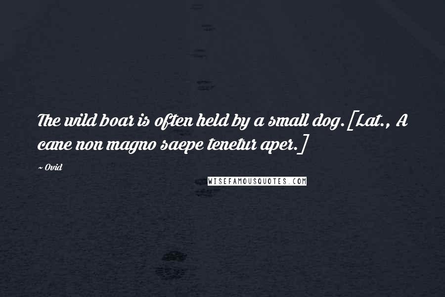 Ovid Quotes: The wild boar is often held by a small dog.[Lat., A cane non magno saepe tenetur aper.]