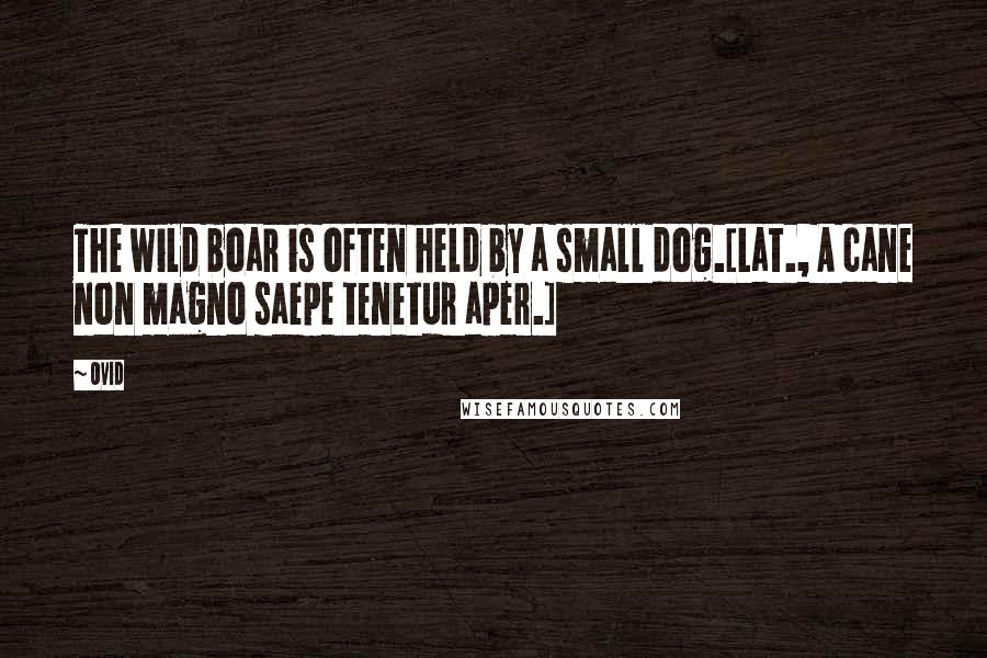 Ovid Quotes: The wild boar is often held by a small dog.[Lat., A cane non magno saepe tenetur aper.]