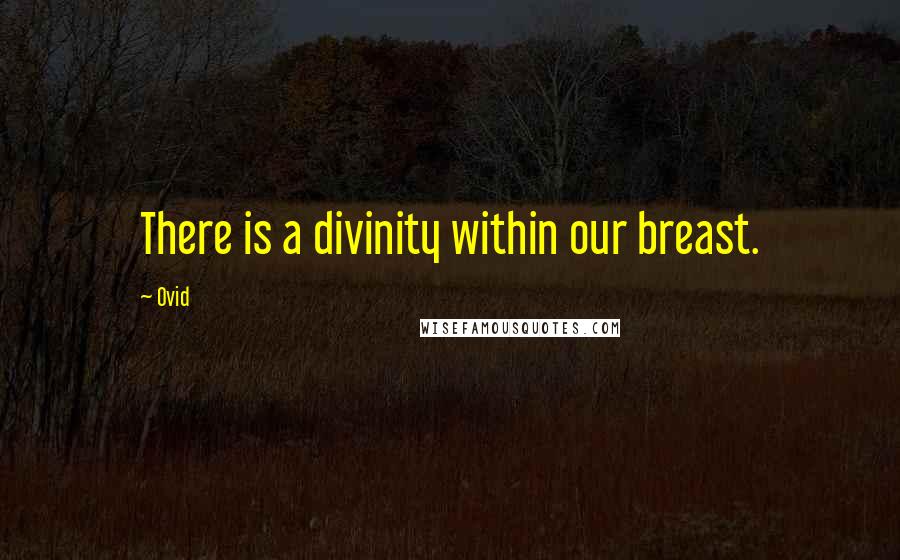 Ovid Quotes: There is a divinity within our breast.