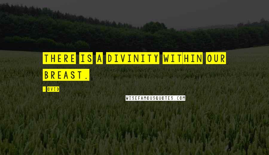 Ovid Quotes: There is a divinity within our breast.