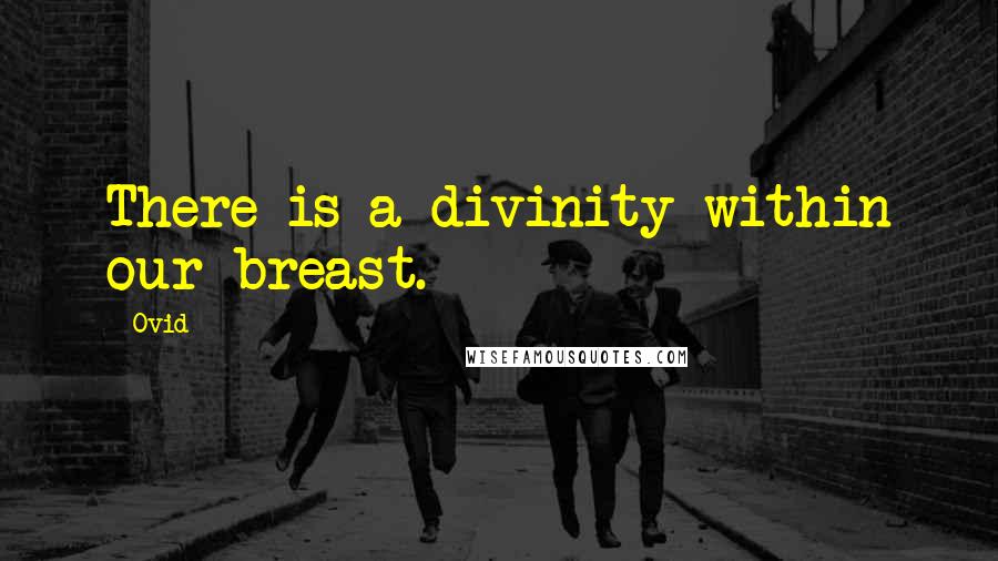 Ovid Quotes: There is a divinity within our breast.