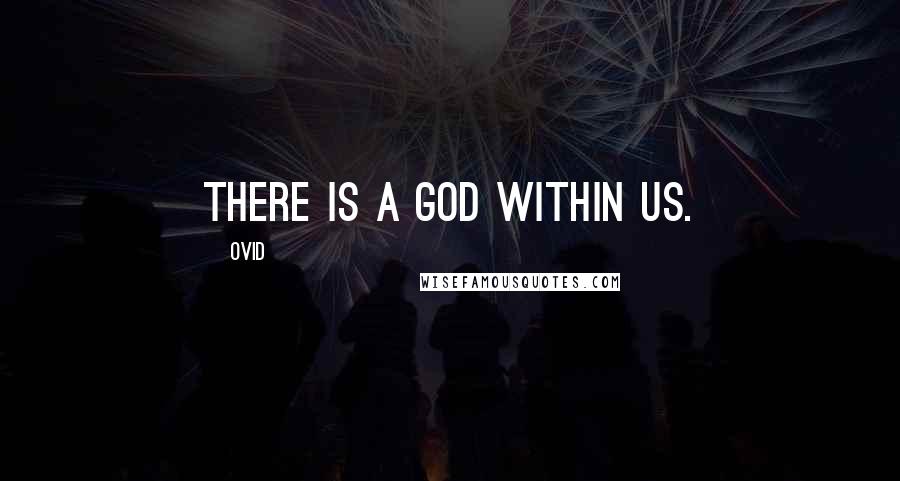 Ovid Quotes: There is a god within us.