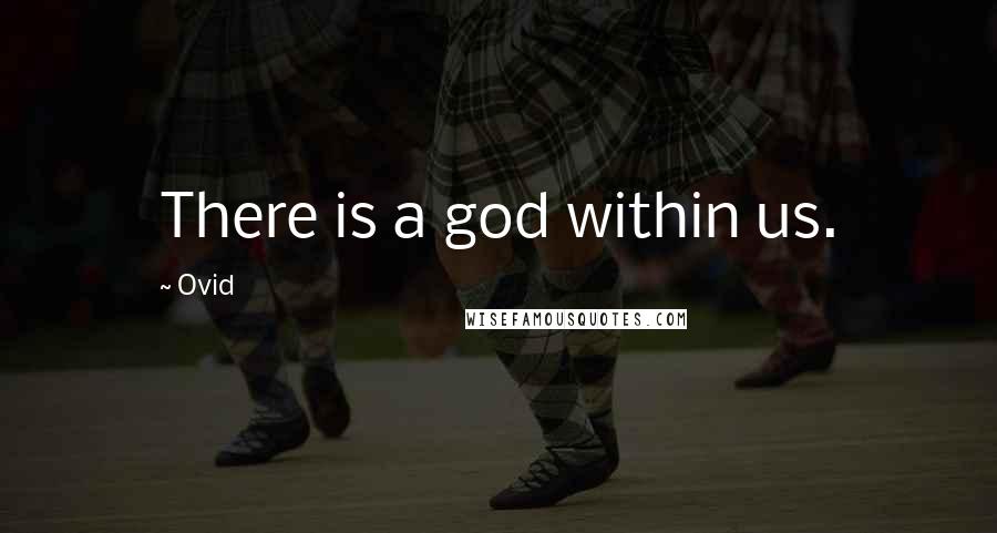 Ovid Quotes: There is a god within us.