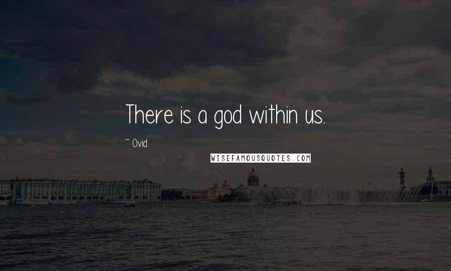 Ovid Quotes: There is a god within us.
