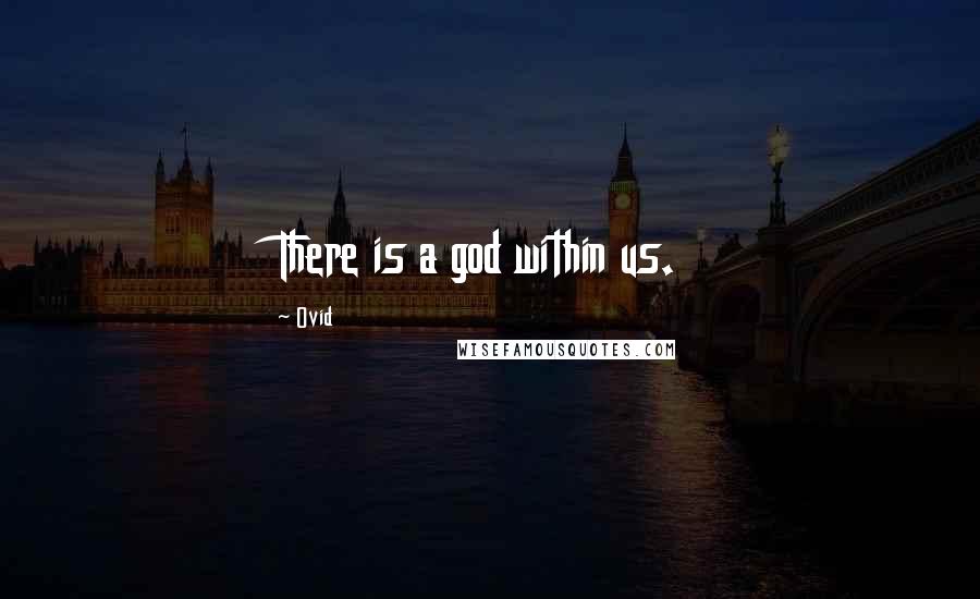 Ovid Quotes: There is a god within us.
