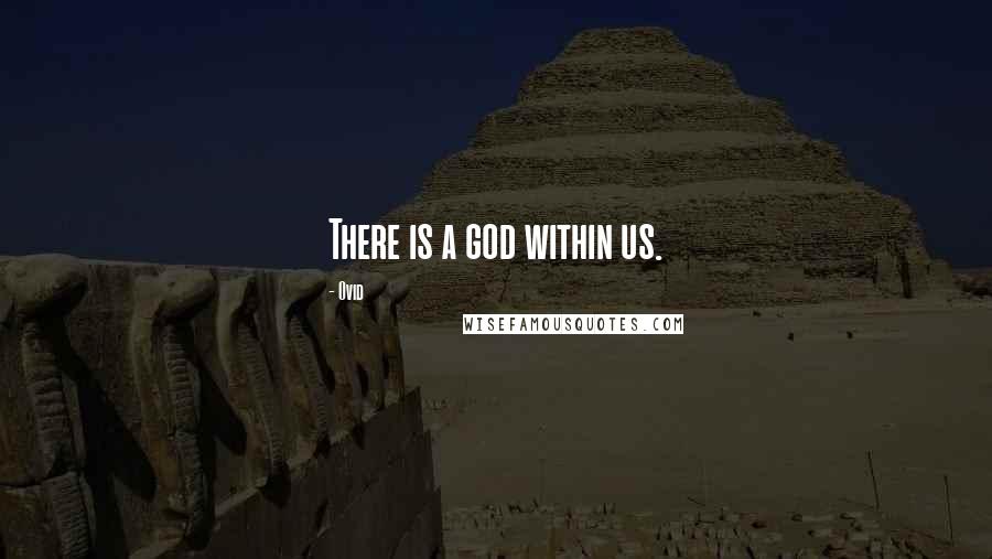 Ovid Quotes: There is a god within us.