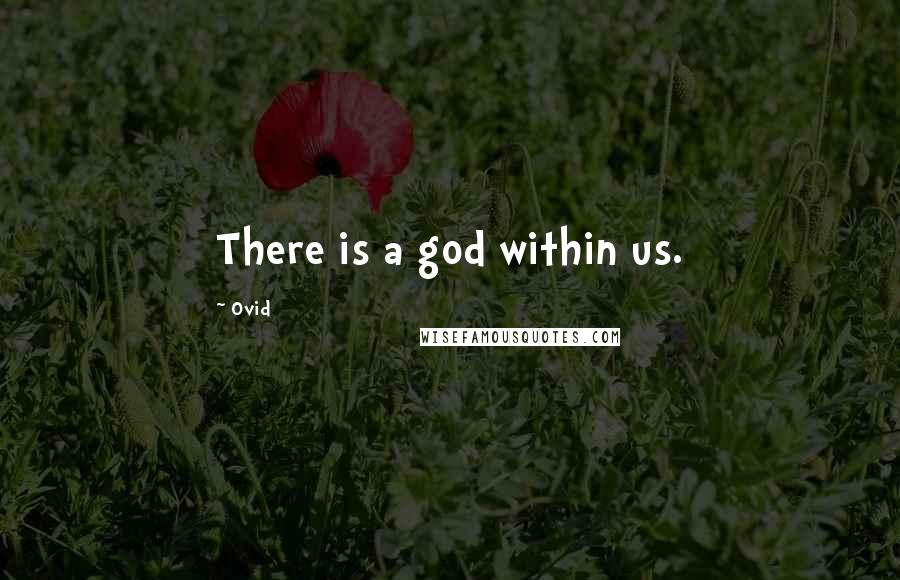 Ovid Quotes: There is a god within us.