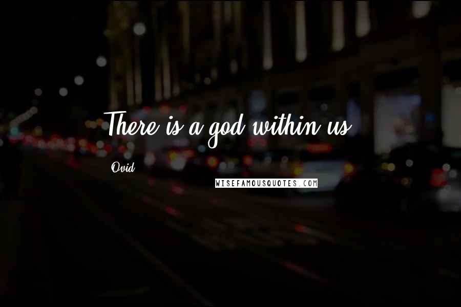 Ovid Quotes: There is a god within us.