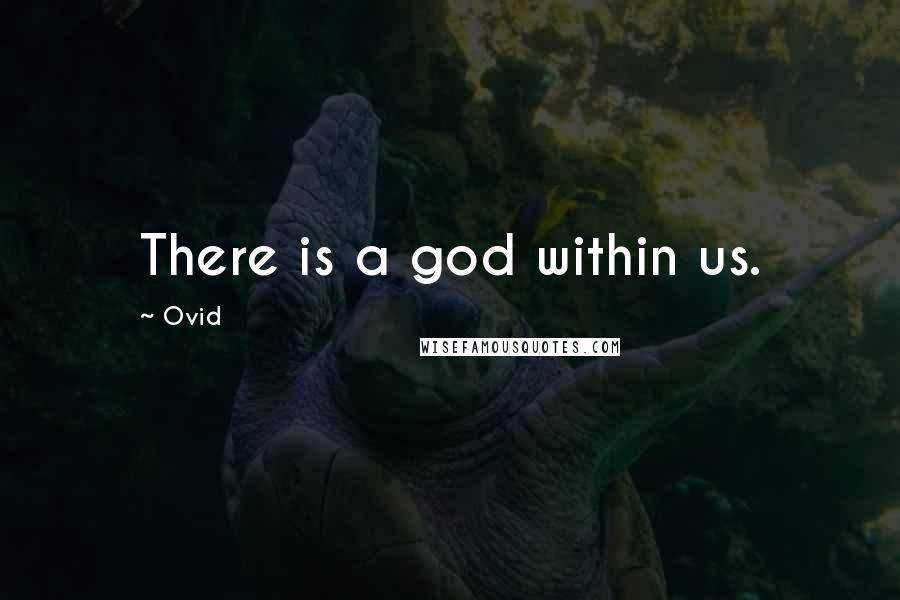 Ovid Quotes: There is a god within us.