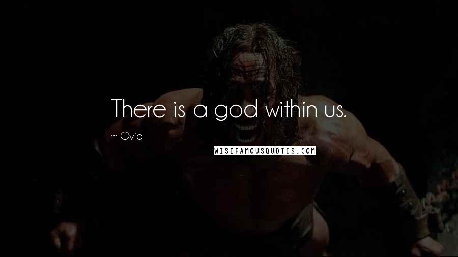 Ovid Quotes: There is a god within us.