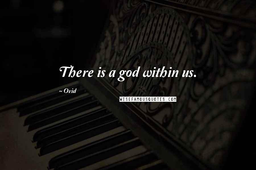 Ovid Quotes: There is a god within us.