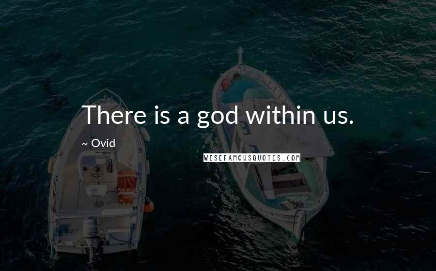Ovid Quotes: There is a god within us.
