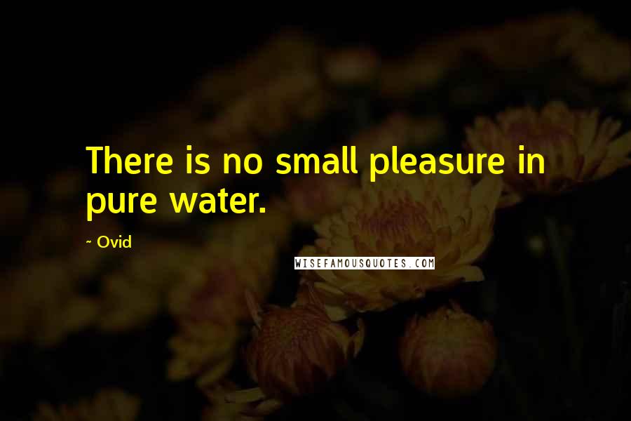 Ovid Quotes: There is no small pleasure in pure water.