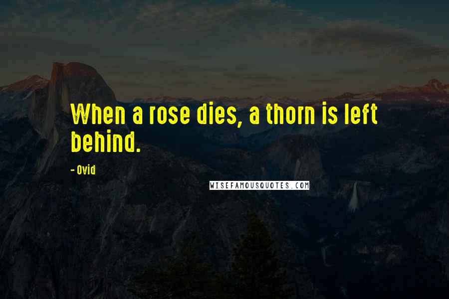 Ovid Quotes: When a rose dies, a thorn is left behind.