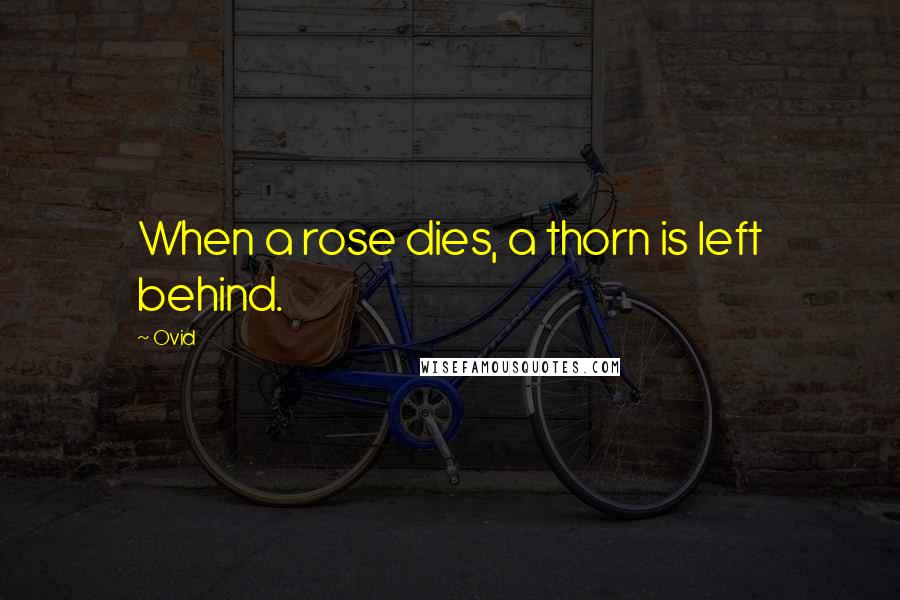 Ovid Quotes: When a rose dies, a thorn is left behind.