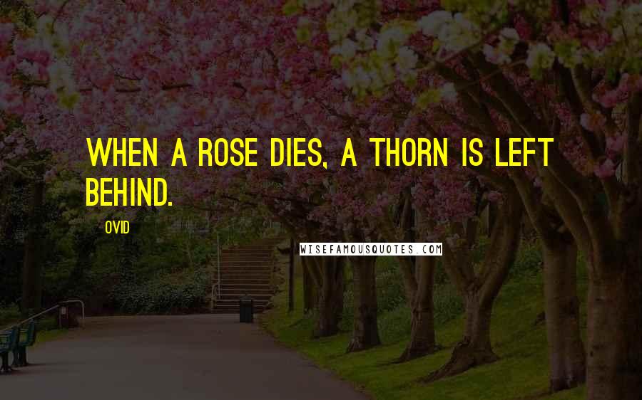 Ovid Quotes: When a rose dies, a thorn is left behind.