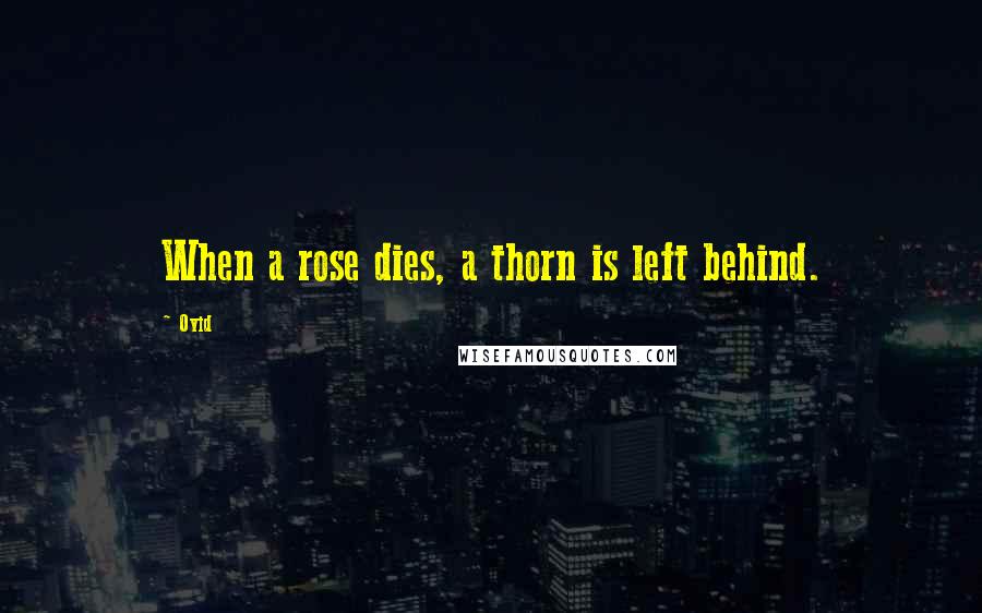 Ovid Quotes: When a rose dies, a thorn is left behind.