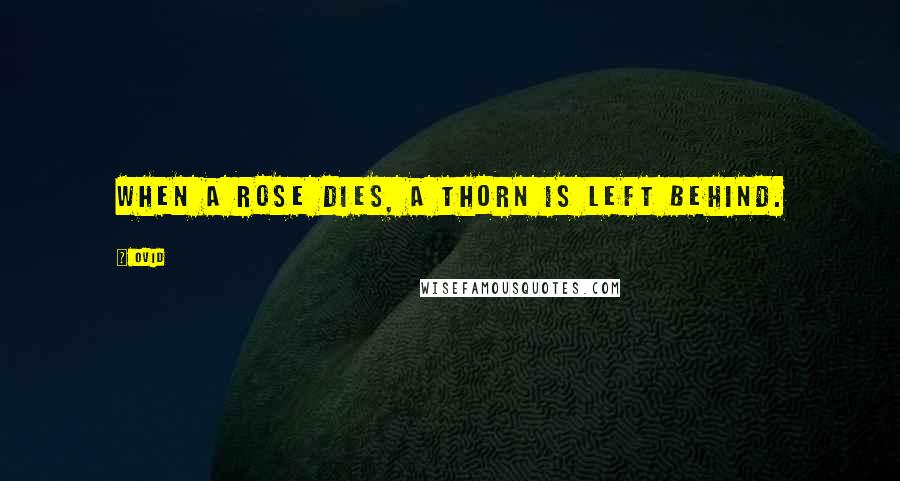 Ovid Quotes: When a rose dies, a thorn is left behind.