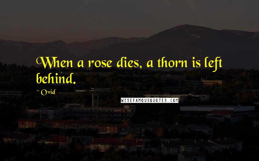 Ovid Quotes: When a rose dies, a thorn is left behind.
