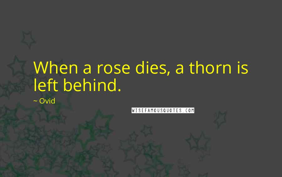 Ovid Quotes: When a rose dies, a thorn is left behind.