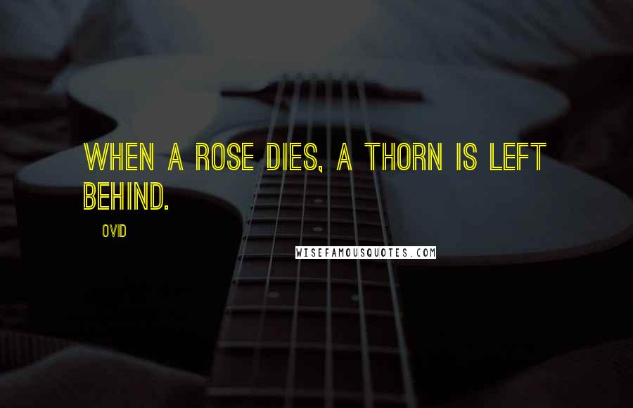 Ovid Quotes: When a rose dies, a thorn is left behind.