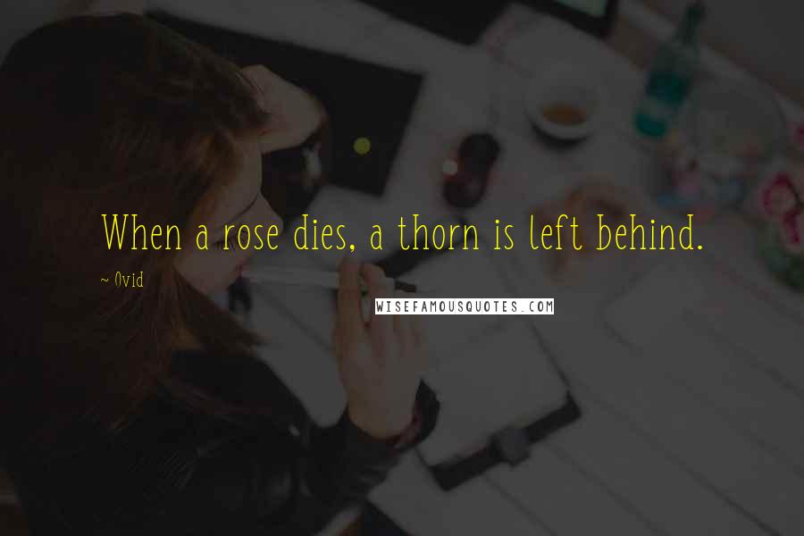 Ovid Quotes: When a rose dies, a thorn is left behind.