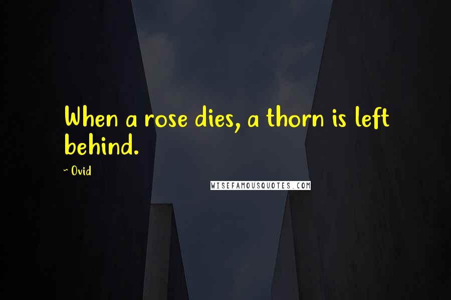 Ovid Quotes: When a rose dies, a thorn is left behind.