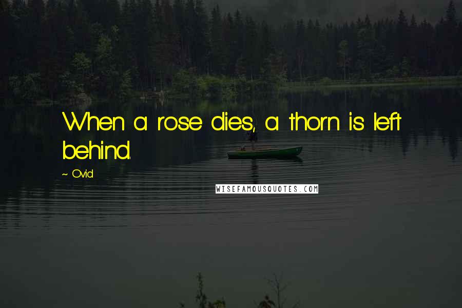 Ovid Quotes: When a rose dies, a thorn is left behind.