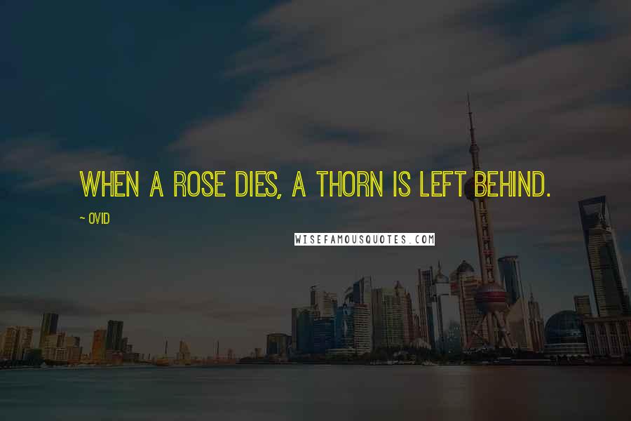 Ovid Quotes: When a rose dies, a thorn is left behind.