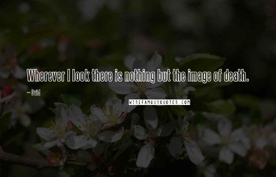 Ovid Quotes: Wherever I look there is nothing but the image of death.