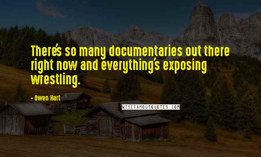 Owen Hart Quotes: There's so many documentaries out there right now and everything's exposing wrestling.