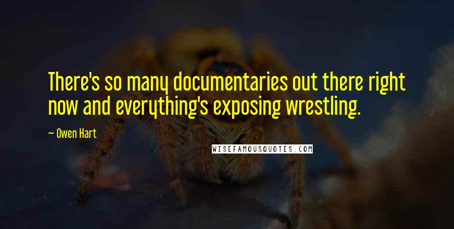 Owen Hart Quotes: There's so many documentaries out there right now and everything's exposing wrestling.