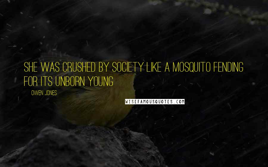 Owen Jones Quotes: She was crushed by society like a mosquito fending for its unborn young