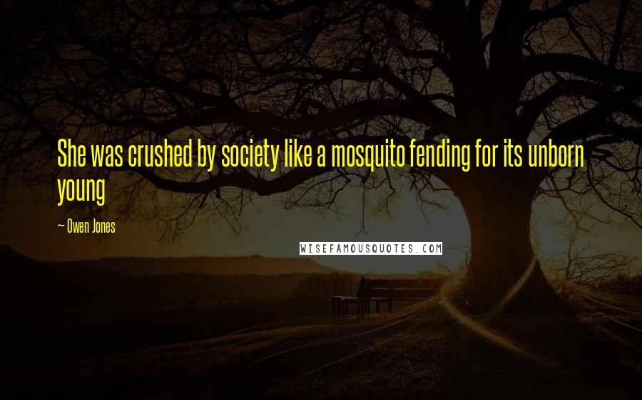 Owen Jones Quotes: She was crushed by society like a mosquito fending for its unborn young