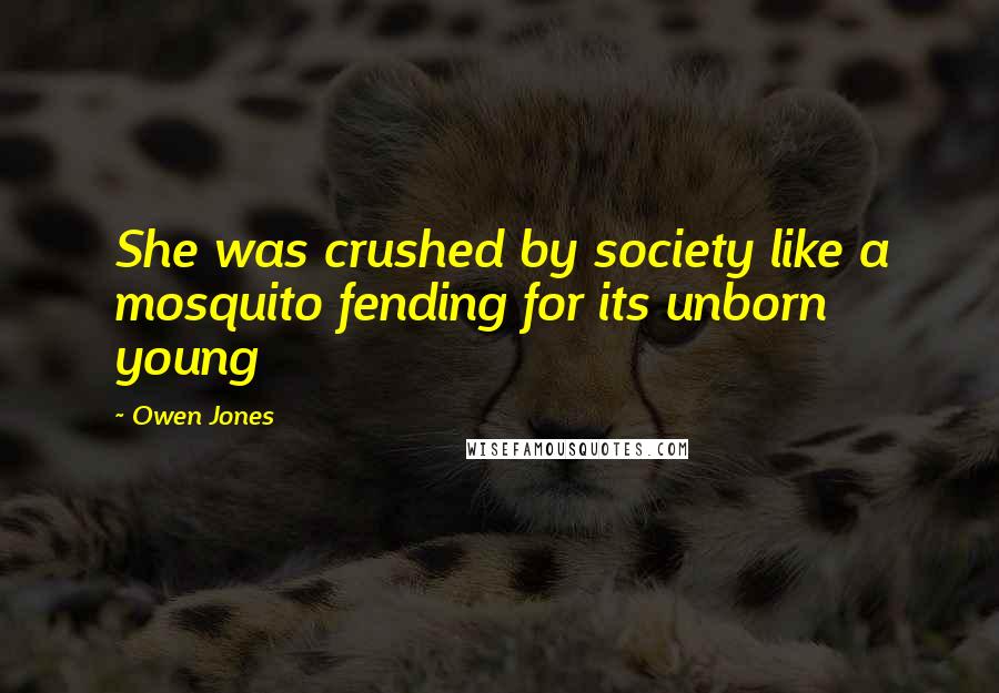 Owen Jones Quotes: She was crushed by society like a mosquito fending for its unborn young