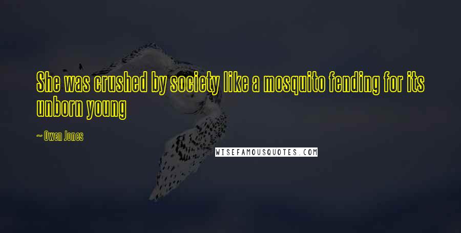 Owen Jones Quotes: She was crushed by society like a mosquito fending for its unborn young