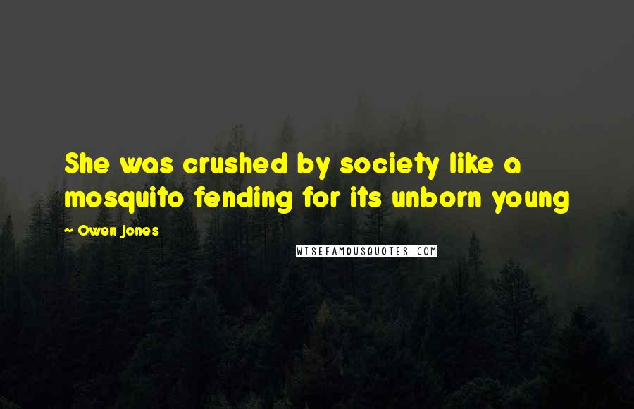 Owen Jones Quotes: She was crushed by society like a mosquito fending for its unborn young
