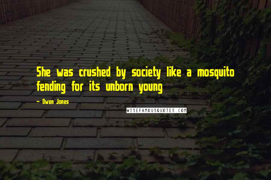 Owen Jones Quotes: She was crushed by society like a mosquito fending for its unborn young