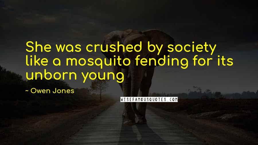 Owen Jones Quotes: She was crushed by society like a mosquito fending for its unborn young