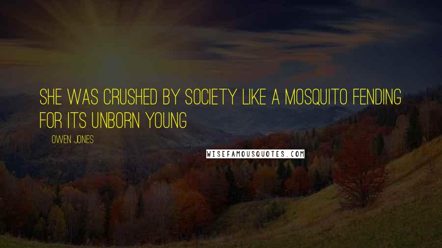 Owen Jones Quotes: She was crushed by society like a mosquito fending for its unborn young