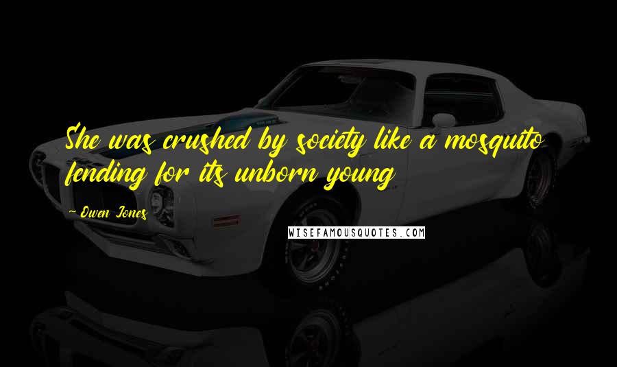 Owen Jones Quotes: She was crushed by society like a mosquito fending for its unborn young