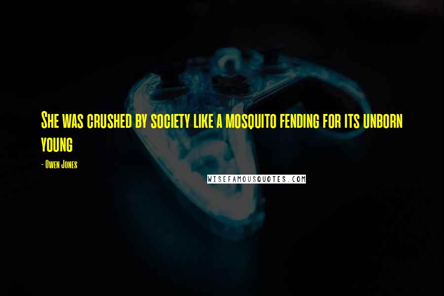 Owen Jones Quotes: She was crushed by society like a mosquito fending for its unborn young