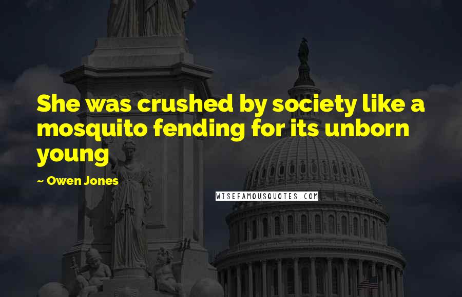 Owen Jones Quotes: She was crushed by society like a mosquito fending for its unborn young